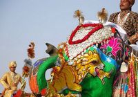 Конкурс красоты слонов в Индии