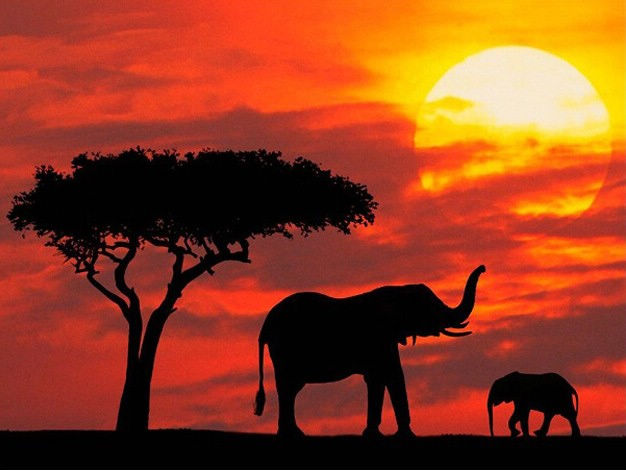 Десять удивительно красивых снимков Африки