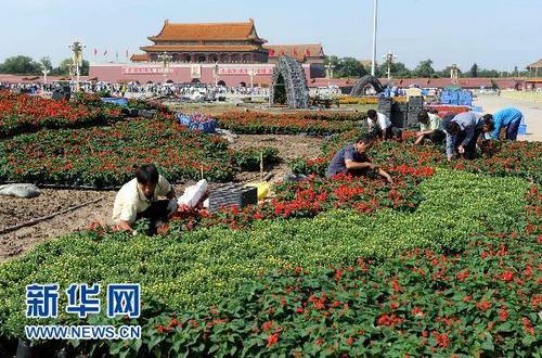 Началась установка цветочных клумб на площади Тяньаньмэнь