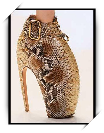Удивительная обувь Леди Гага! 2