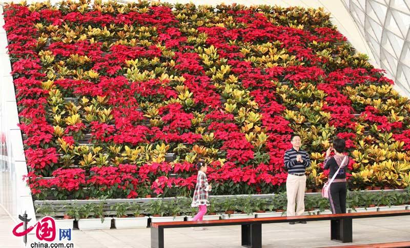 Парк ЭКСПО в Шанхае торжественно встречает праздник Дня образования КНР и День Китайского национального павильона