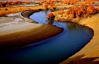 В Китае выделено свыше 9,2 млрд юаней на комплексное упорядочение бассейна реки Тарим