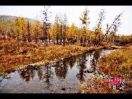 Очаровательная осень в степи Хулун-Буир