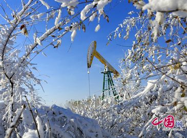 Красивый Дацин—город нефтяников под первым снегом 2010 года