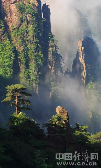 Прекрасные пейзажи четырех сезонов в горах Хуаншань 1