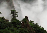 Прекрасные пейзажи четырех сезонов в горах Хуаншань 2