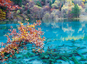 Пестрые цвета глубокой осени в разных местах Китая 1