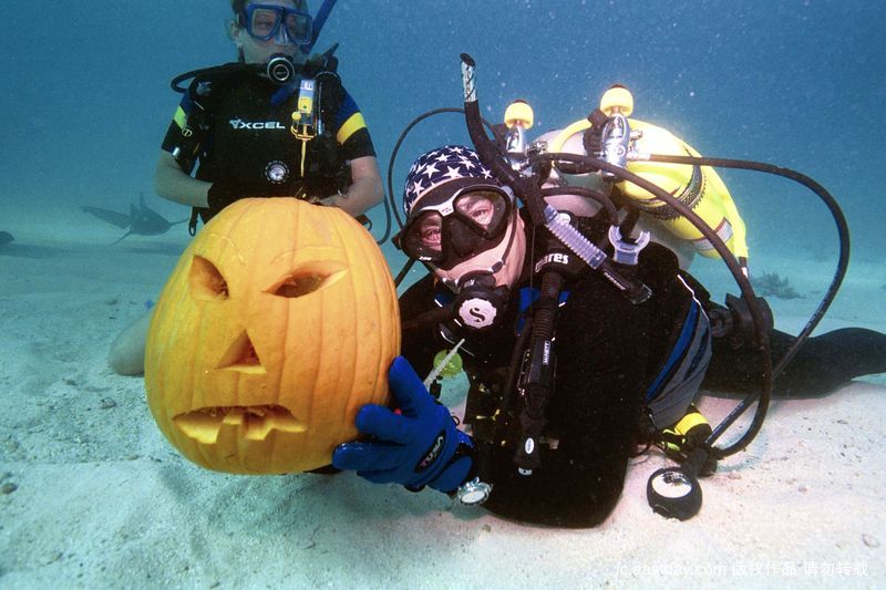 В штате Флорида США был проведен конкурс по подготовке фонарей из тыквы под водой 