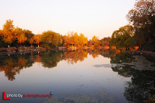Живописное озеро Вэймин в Пекинском университете 