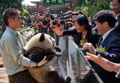 Панды Азиатских игр встречаются с туристами