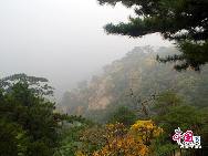 Они называются «жемчужиной северо-востока Китая». Это - важный пейзажный район Китая. Горы Цяньшань состоят из почти тысячи чудесных пиков в виде лотосов.