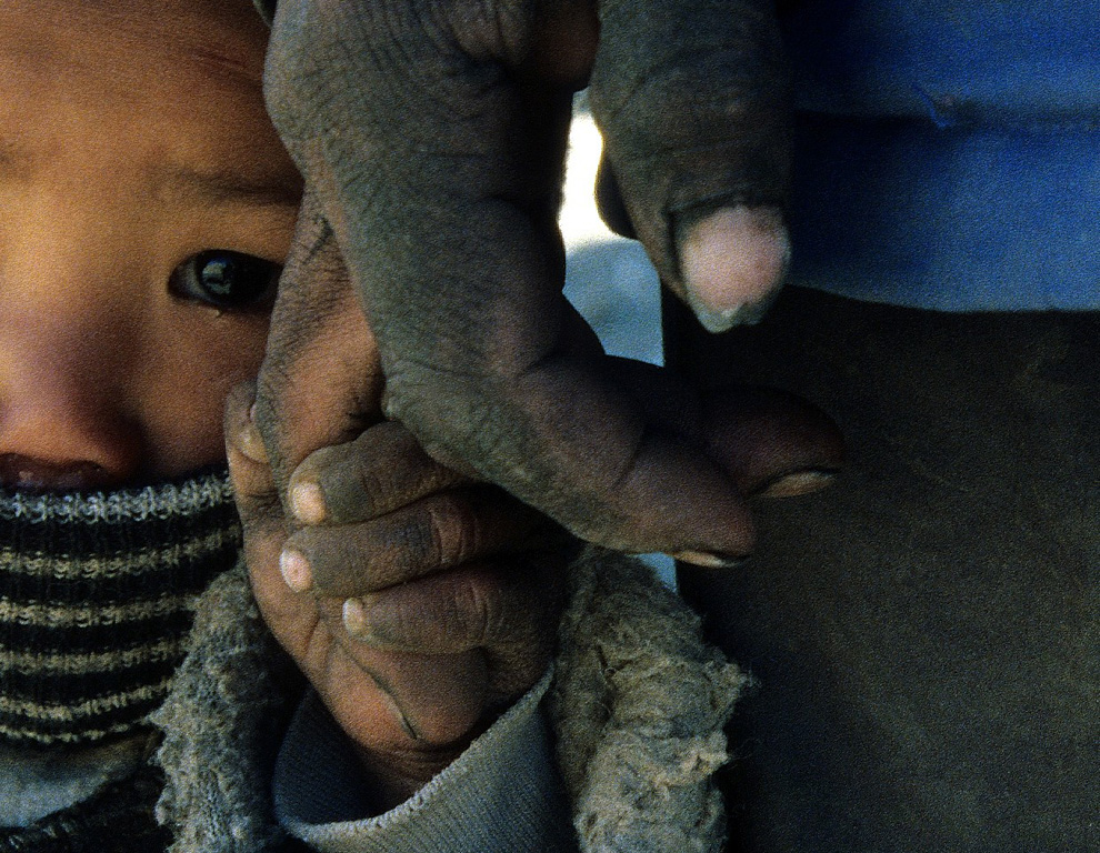 Замечательные снимки журнала «National Geographic» 2010 года