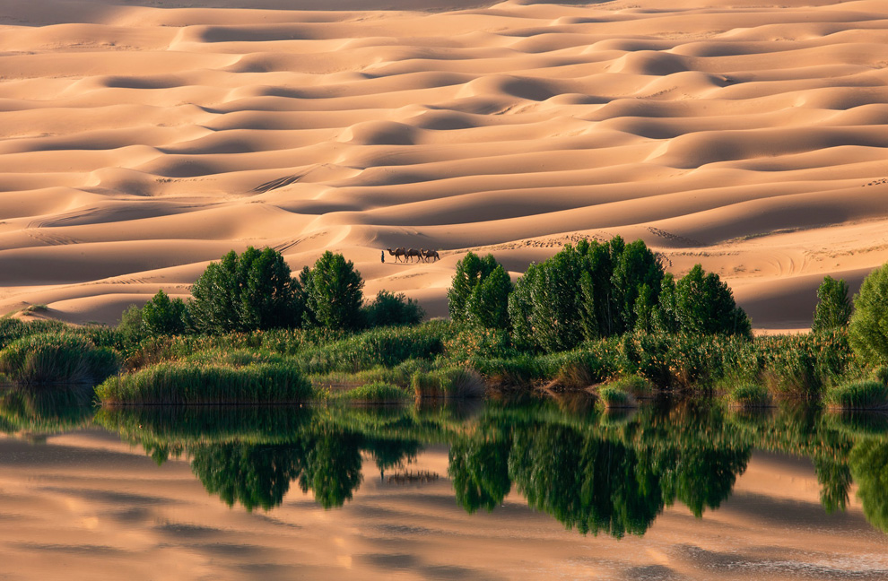 Замечательные снимки журнала «National Geographic» 2010 года