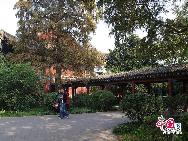 Нанкинский педагогический университет в Китае - самый красивый