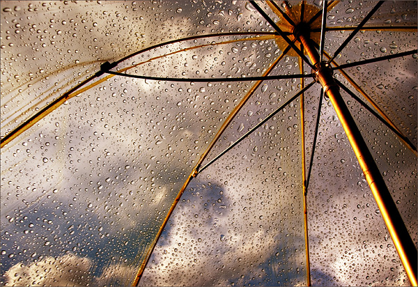 Красивые художественные фотографии, снятые в дождь