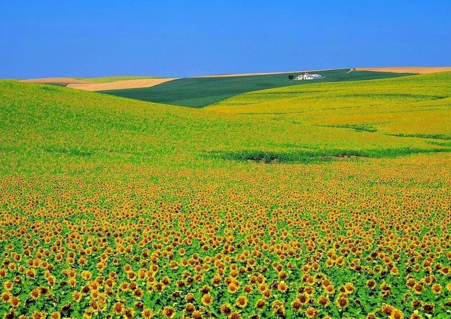 Неописуемая красота природных пейзажей 