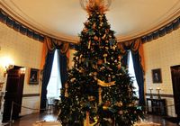 Новогодняя елка установлена в Белом доме США