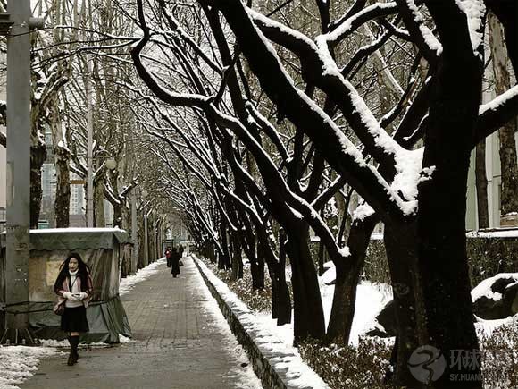 40 лучших фотографий снежного ландшафта 33