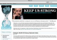 Сторонники WikiLeaks атаковали сайт Visa