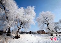 Сказочно красивая изморозь на берегу реки Сунхуацзян