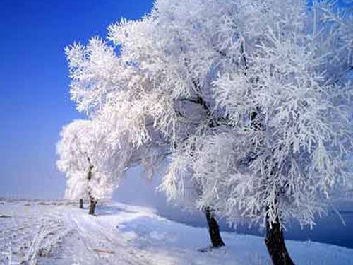 Пять сказочных метс в Китае для любования снежными пейзажами