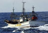 РК и Япония в акватории у островов Токто расследуют поведение южнокорейского рыболовецкого судна