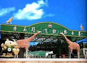 Достопримечательность города Цзинань - Парк диких животных Цзинаня 