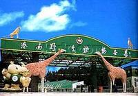 Достопримечательность города Цзинань - Парк диких животных Цзинаня