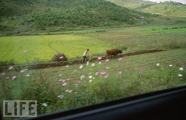 КНДР в объективах западных фотографов 