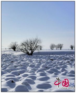 Тихая зима в Большом Хингане