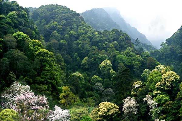 Прекрасные пейзажи Цзинганшаня