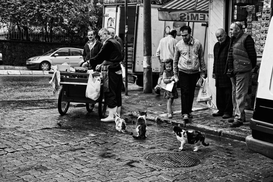 Тихий Стамбул в объективе Резаны - женщины-фотографа 