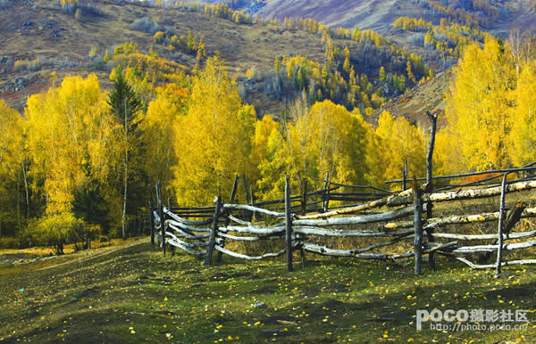 Красочная осень в СУАР 