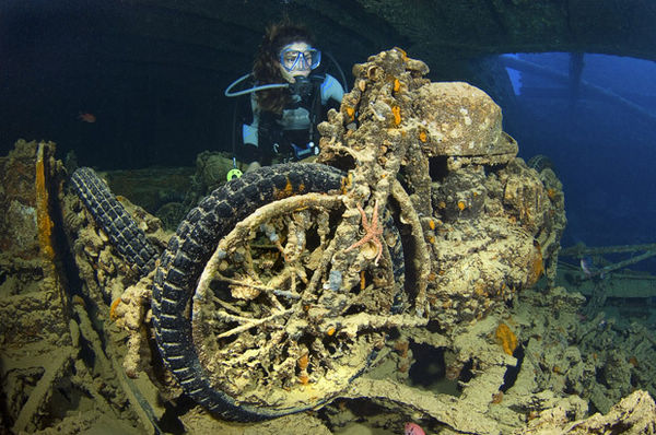 Таинственный подводный мир в объективах фотографа из Великобритании 