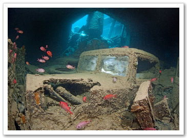 Таинственный подводный мир в объективах фотографа из Великобритании