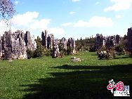 Каменный лес называется «изумительным зрелищем в мире». Он расположен на территории Шилинь-Иского автономного уезда, в 86 км. от города Куньмин.