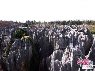 Туристический район «Каменный лес» государственной категории АААА состоит из 7 частей. 13 февраля 2004 года каменный лес признан ЮНЕСКО геологическим парком мирового значения. 