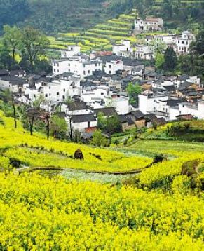 Живописные весенние пейзажи в Китае