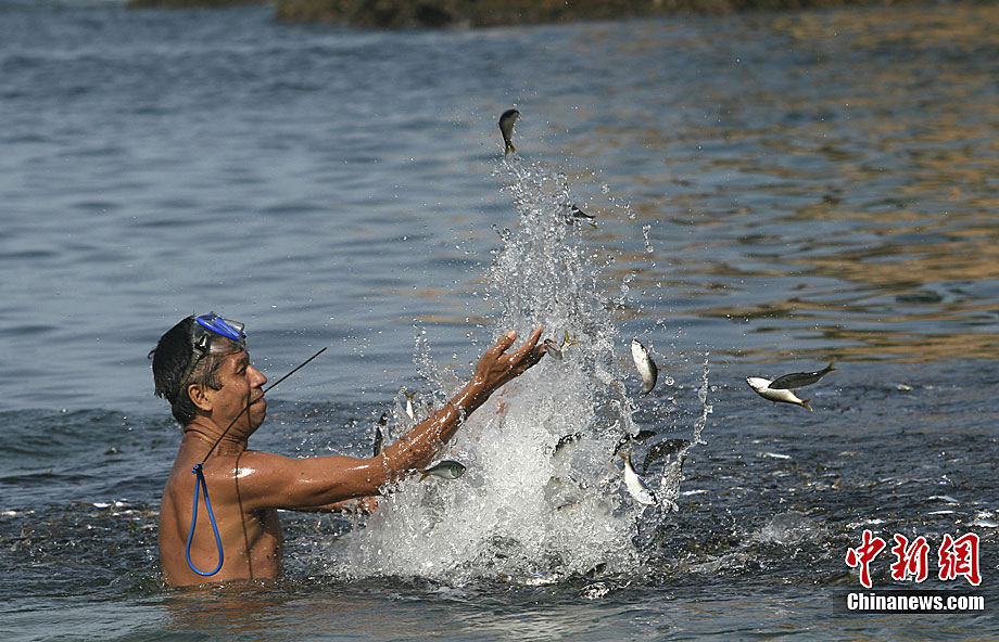 В Мексике косяки рыб выбрасываются на берег после землетрясения в Японии