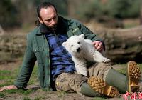 Белый медведь Кнут в Германии погиб в результате несчастного случая