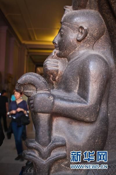 Египетский музей вновь открыт после забастовок 