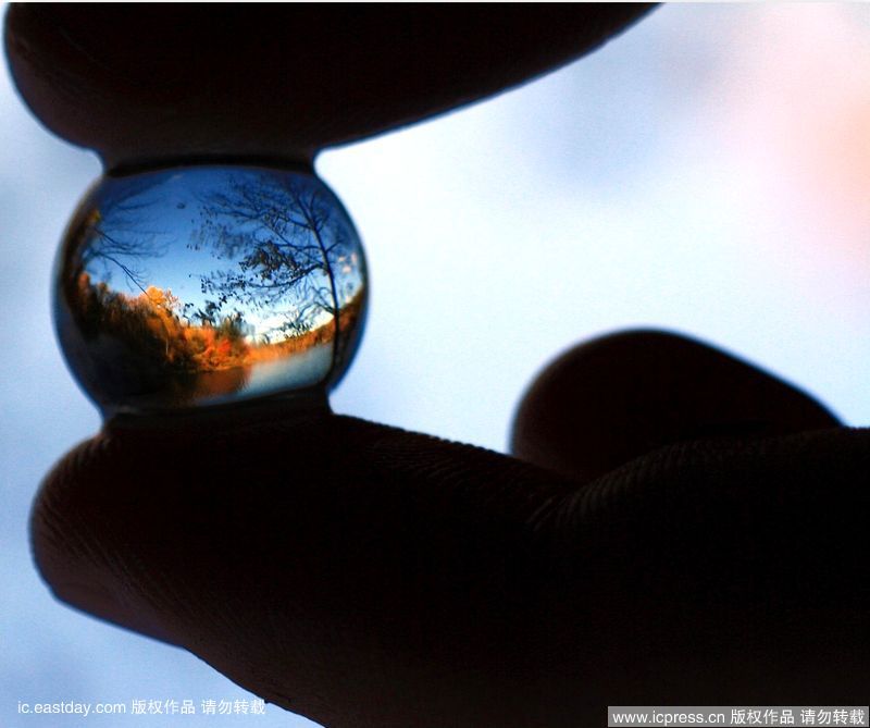 Мир в стеклянном шарике - от 16-летнего фотографа Салеба Тененбаума 