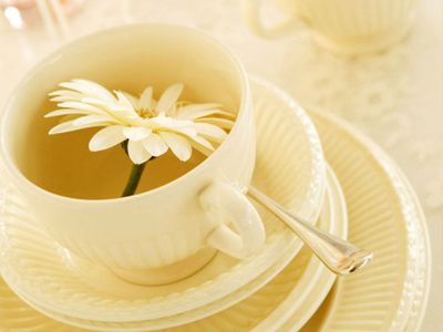 Пять сортов цветочного чая для укрепления здоровья в весенние дни 2