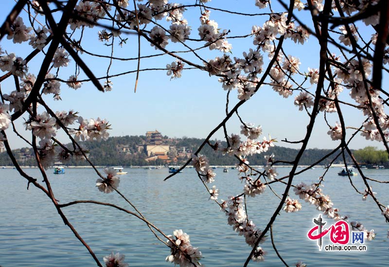 Прекрасная весна в пекинском парке «Ихэюань» 