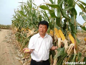 'Отец гибридной кукурузы' -- Ли Дэнхай 1 