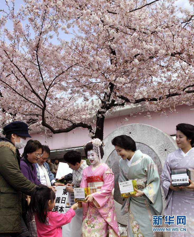 Цветочный апрель! Фестивали сакуры в разных странах мира 6