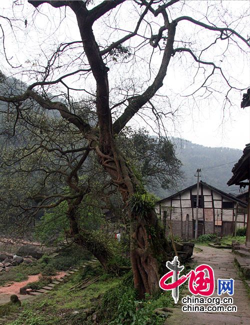 Древнее поселение Датун в провинции Гуйчжоу