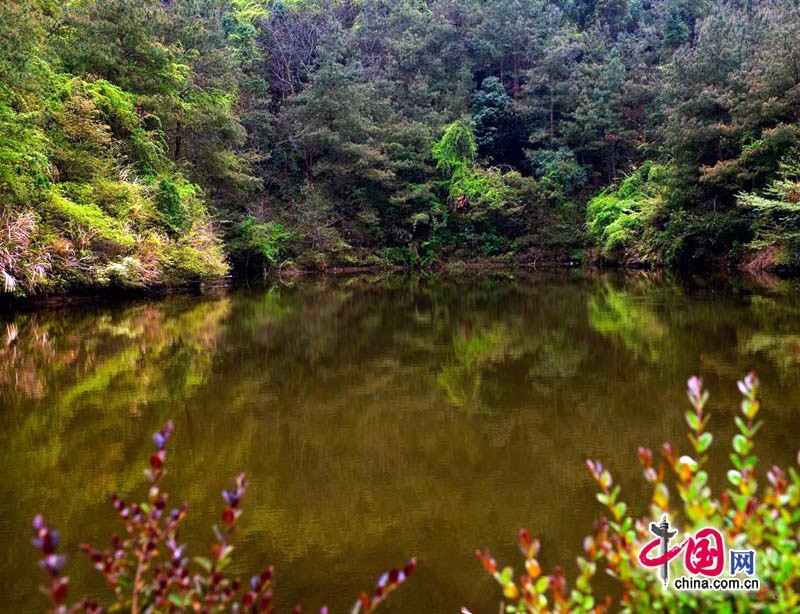 Красивые пейзажи в Национальном парке «Чжишань»2