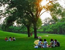 《悠闲》 李睿 （摄于2010年） 初夏傍晚，北院遗址旁的草坪 
