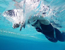 《健将》 蒋率 （摄于2010年） 游泳馆内的蝶泳训练 